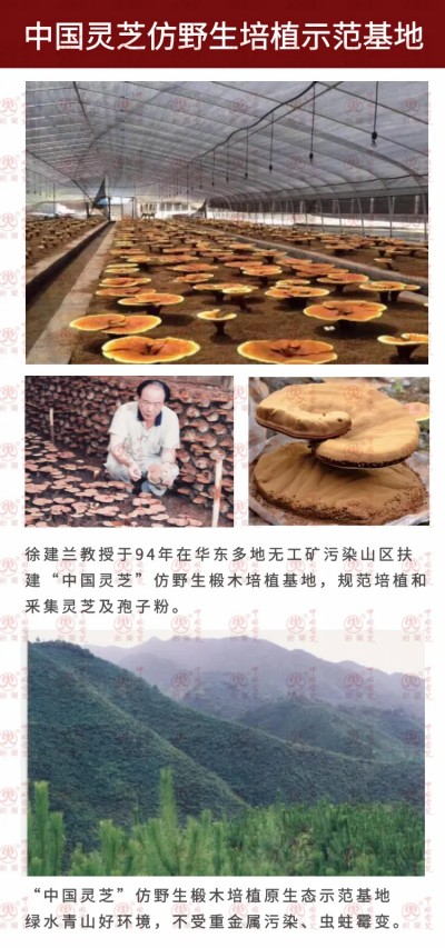 中国灵芝破壁孢子粉 | 认准“剑兰”商标