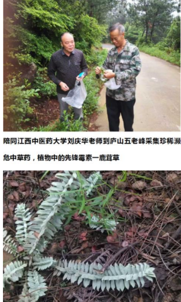 七一建党节专题报道 老中医邱胜亮诚邀投资合作，共启金盆山医疗健康产业新征程