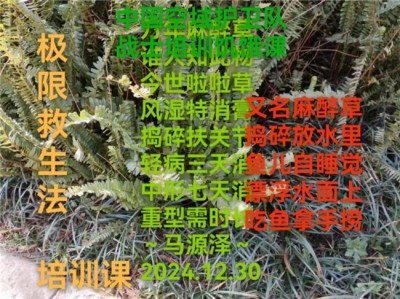 世界中医药联合会 传统医学博士——-马忠义院长