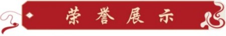 国学非遗传承人——杨传正