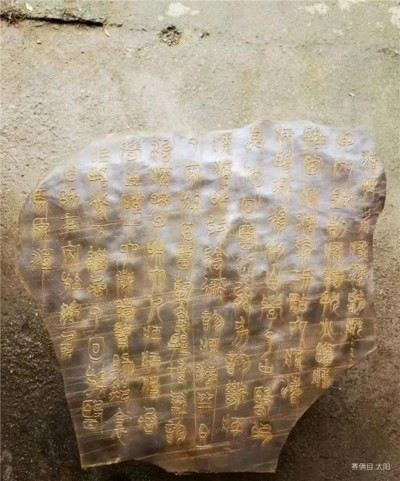 世界中医药联合会 传统医学博士——马忠义院长