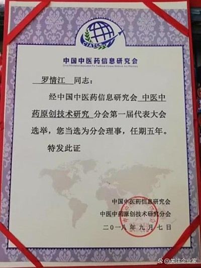 罗情江：以道医文化疗愈身心，传承东方生命智慧