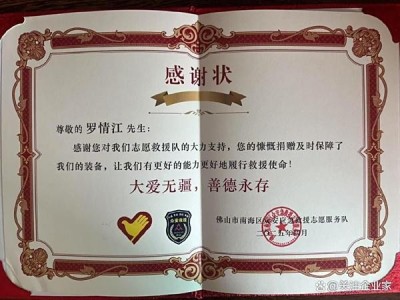 罗情江：以道医文化疗愈身心，传承东方生命智慧