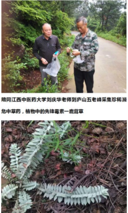 德馨于行  技精于勤 中华名医——邱胜亮