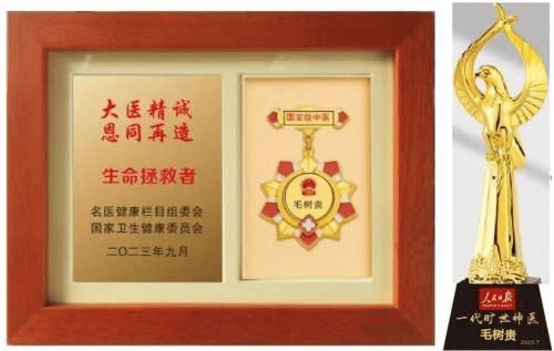 旷世神医·国家功勋·国医泰斗·救世活人毛树贵
