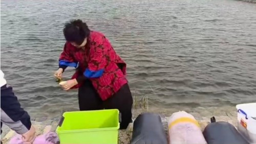 易学名家——曲庆华