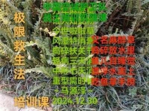 《明白什么是假圣人与真圣人》 世界中医药联合会传统医学博士——马忠义院长
