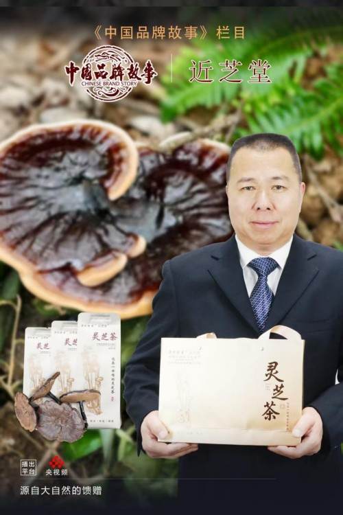 弘扬非遗传承，铸就灵芝传奇 ——退伍军人林文辉的匠心之路