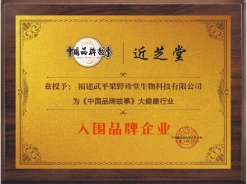 弘扬非遗传承，铸就灵芝传奇 ——退伍军人林文辉的匠心之路