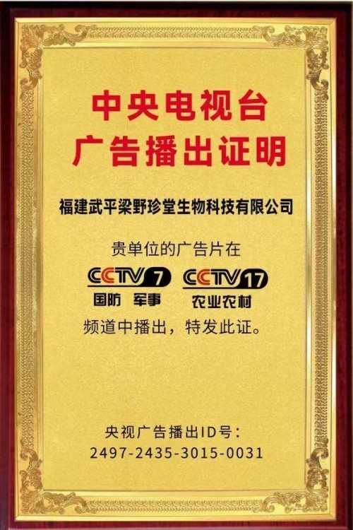 弘扬非遗传承，铸就灵芝传奇 ——退伍军人林文辉的匠心之路