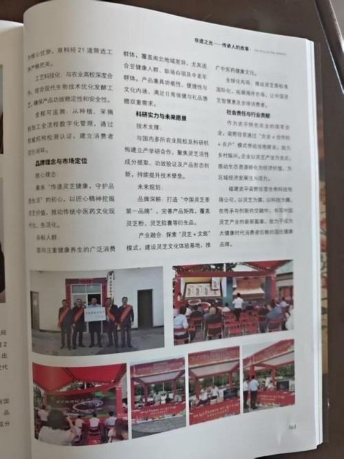 弘扬非遗传承，铸就灵芝传奇 ——退伍军人林文辉的匠心之路