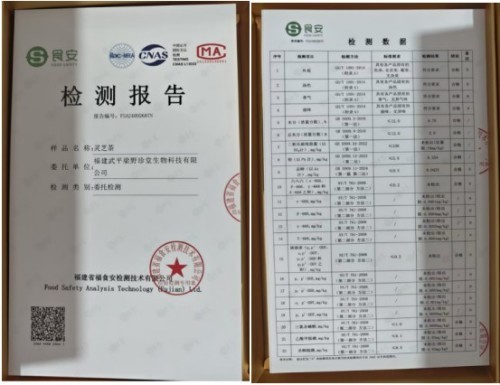 弘扬非遗传承，铸就灵芝传奇 ——退伍军人林文辉的匠心之路