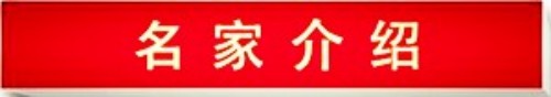 新时代国医名师——武建新