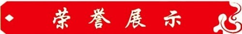 新时代国医名师——武建新