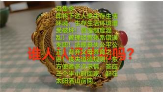 世界中医药联合会 传统医学博士  ——  马忠义院长