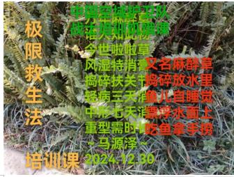世界中医药联合会 传统医学博士  ——  马忠义院长