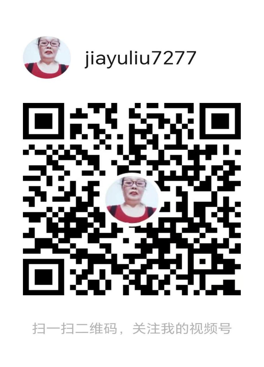 华人巅峰世界艺术家企业家——贾玉柳