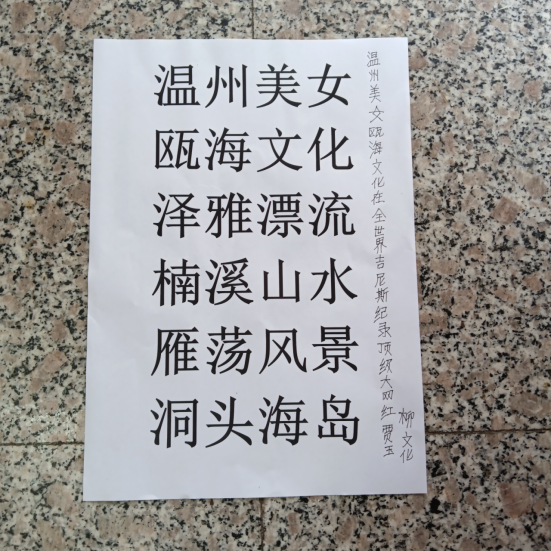 华人巅峰世界艺术家企业家——贾玉柳
