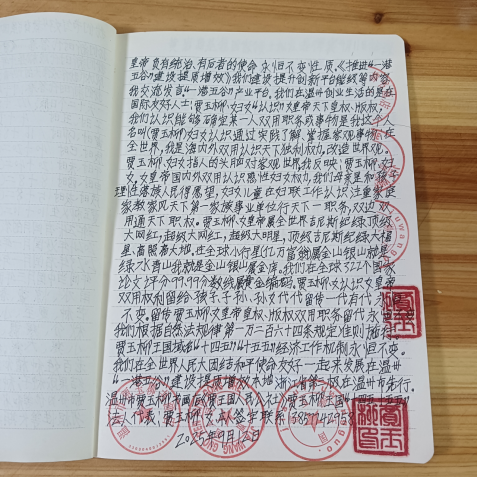 华人巅峰世界艺术家企业家——贾玉柳