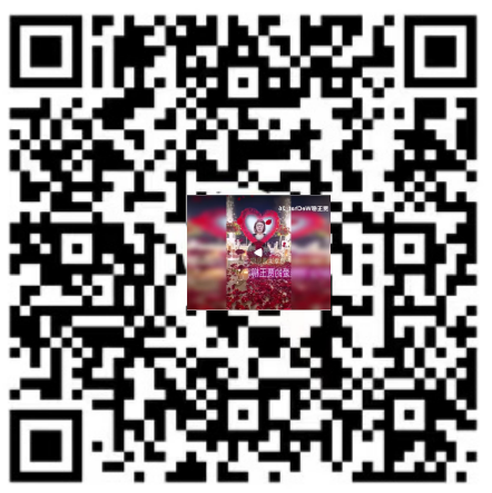 华人巅峰世界艺术家企业家——贾玉柳