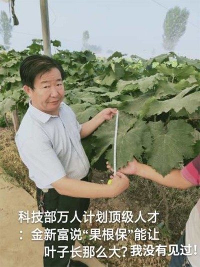 实战农业科学家——刘福信