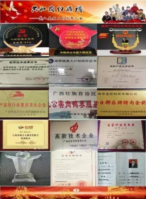 喜迎2026元旦人物贺岁特别报道 优秀企业家——金凤章