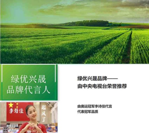 科技育种铸就“去皮黄金”，广东农科院基因引擎驱动英德麻竹笋产业冲向百亿级