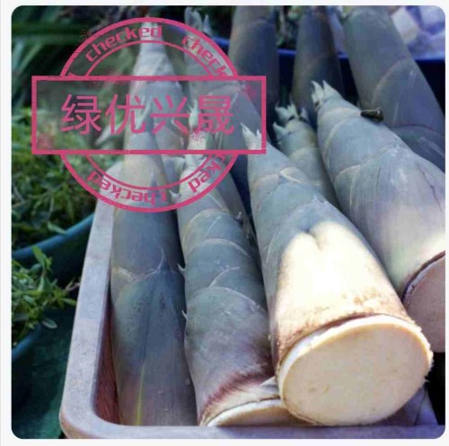 科技育种铸就“去皮黄金”，广东农科院基因引擎驱动英德麻竹笋产业冲向百亿级