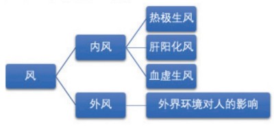 李东来：用十全延生汤诠释中医的力量