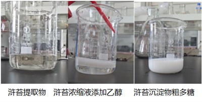 健康中国之⑥丹方溯源 福建海兴保健食品有限公司企业简介