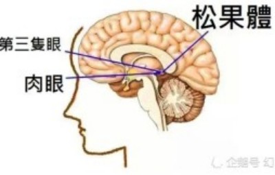 回顾反伪气功的实质及其影响