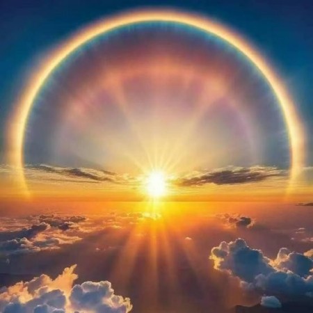 《丹桂飘香  浓情重阳》 ——重点推荐艺术家陈兆威