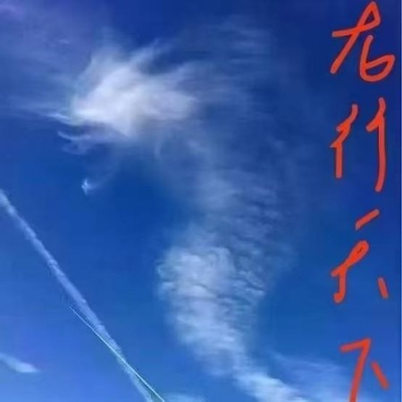 《丹桂飘香  浓情重阳》 ——重点推荐艺术家陈兆威