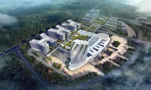 三峡国际健康城一期工程封顶仪式举办，匠心打造高端医疗一流技术康养医院