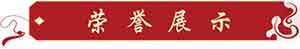 【2024年全国两会献礼】 世界非遗传承人——王少青