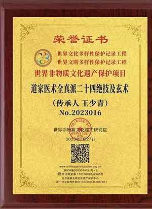 【2024年全国两会献礼】 世界非遗传承人——王少青