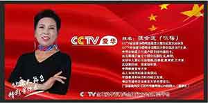 2024CCTV全球爱华春晚《健康中国行》 华南地区才艺大赛启动仪式圆满成功