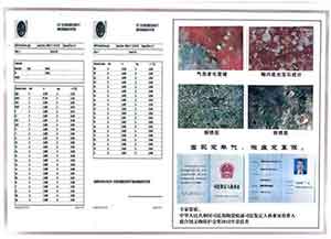 【“五一”劳动节特别报道】   最美追梦人——徐猷山